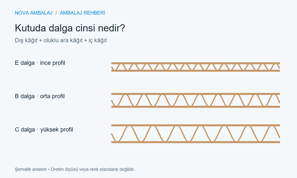 Kutuda Dalga Cinsi Nedir? açıklayıcı şema